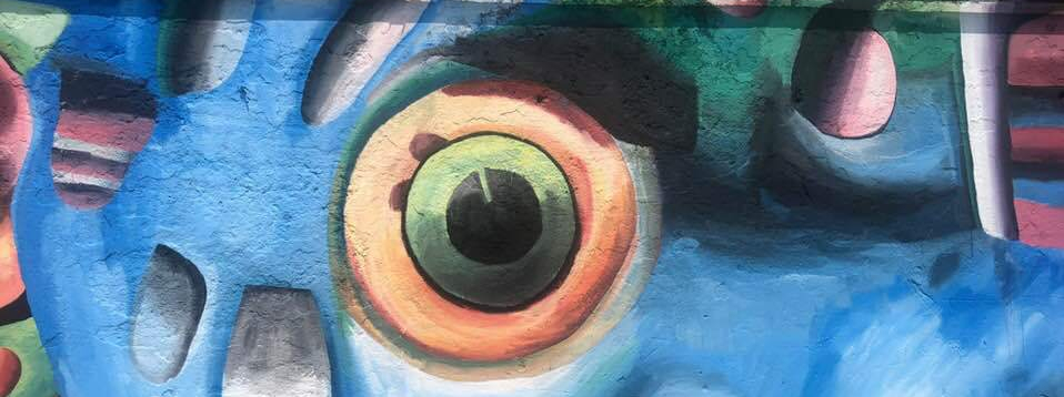 35746936_1916599311718902_7954222987731795968_n